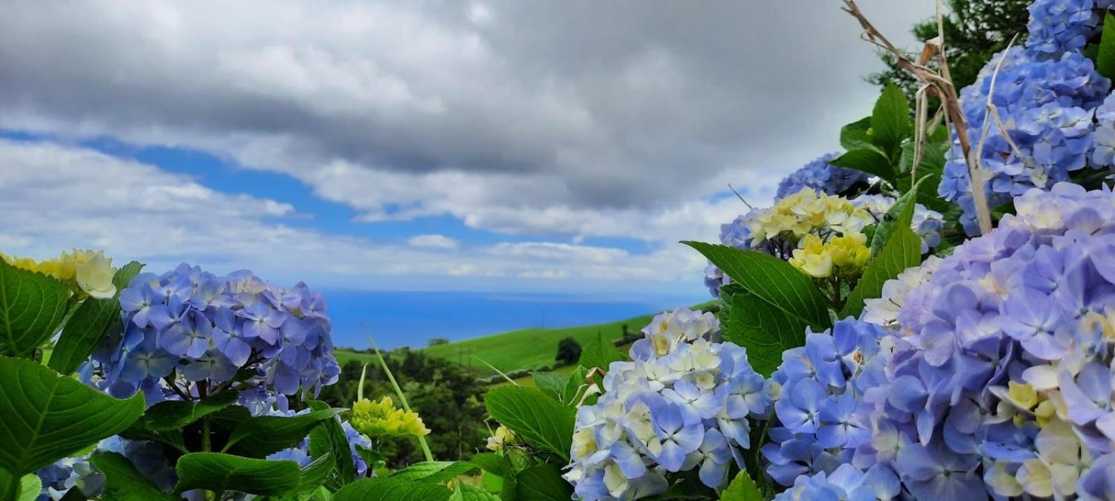 Quinta Da Espadana ポヴォアサン エクステリア 写真